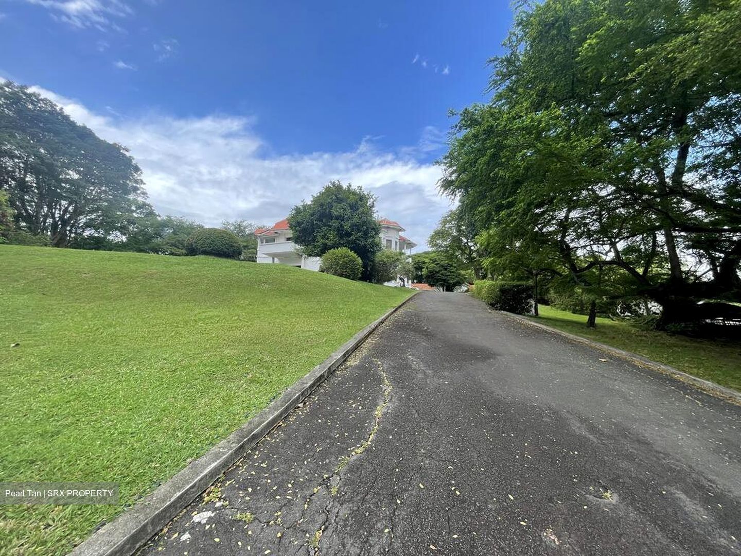 Tanglin Hill Villas (D10), Detached #628307401